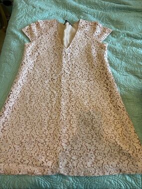 Zara Blush Pink Lace Midi Dress